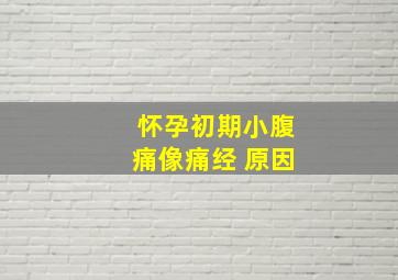 怀孕初期小腹痛像痛经 原因